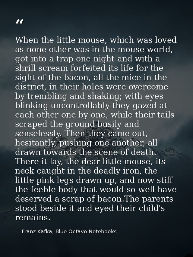 When the little mouse, which was loved as none other was in the mouse-world, got into a trap one night and with a shrill — Franz Kafka, Blue Octavo Notebooks
