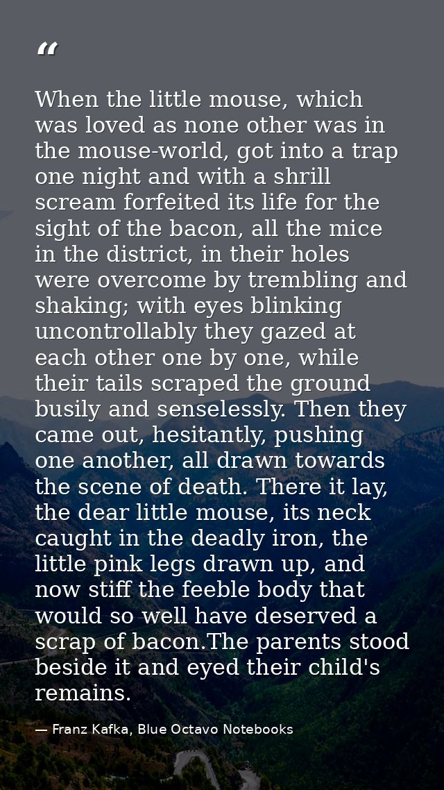 When the little mouse, which was loved as none other was in the mouse-world, got into a trap one night and with a shrill — Franz Kafka, Blue Octavo Notebooks