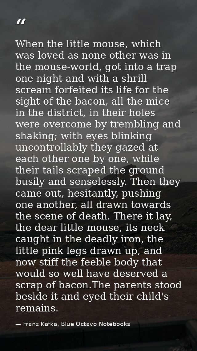 When the little mouse, which was loved as none other was in the mouse-world, got into a trap one night and with a shrill — Franz Kafka, Blue Octavo Notebooks