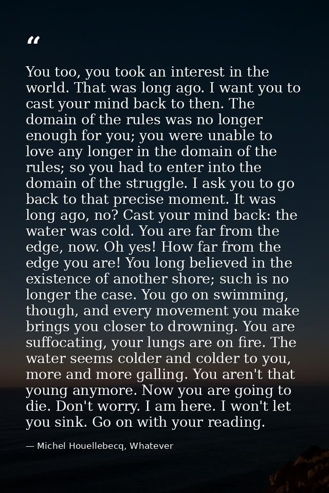 You too, you took an interest in the world. That was long ago. I want you to cast your mind back to then. The domain of  — Michel Houellebecq, Whatever