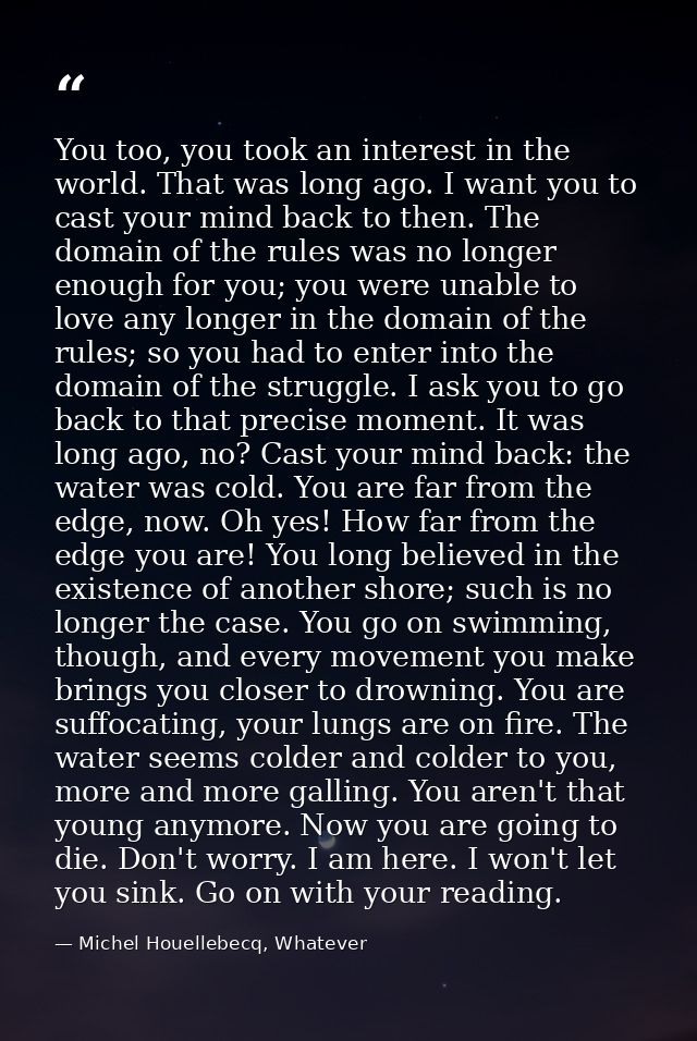 You too, you took an interest in the world. That was long ago. I want you to cast your mind back to then. The domain of  — Michel Houellebecq, Whatever