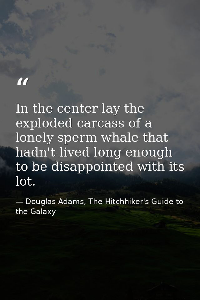 In the center lay the exploded carcass of a lonely sperm whale that hadn't lived long enough to be disappointed with its — Douglas Adams, The Hitchhiker's Guide to the Galaxy