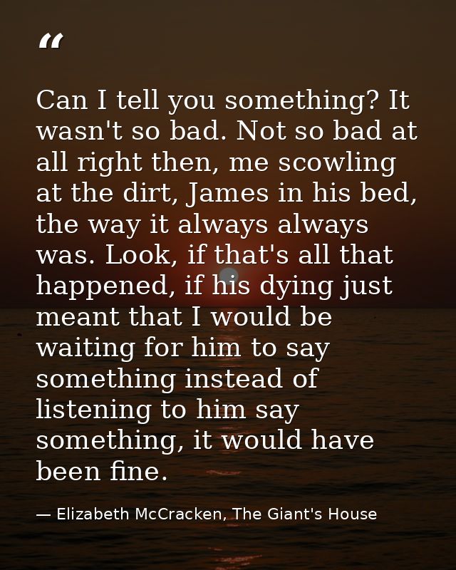 Can I tell you something? It wasn't so bad. Not so bad at all right then, me scowling at the dirt, James in his bed, the — Elizabeth McCracken, The Giant's House