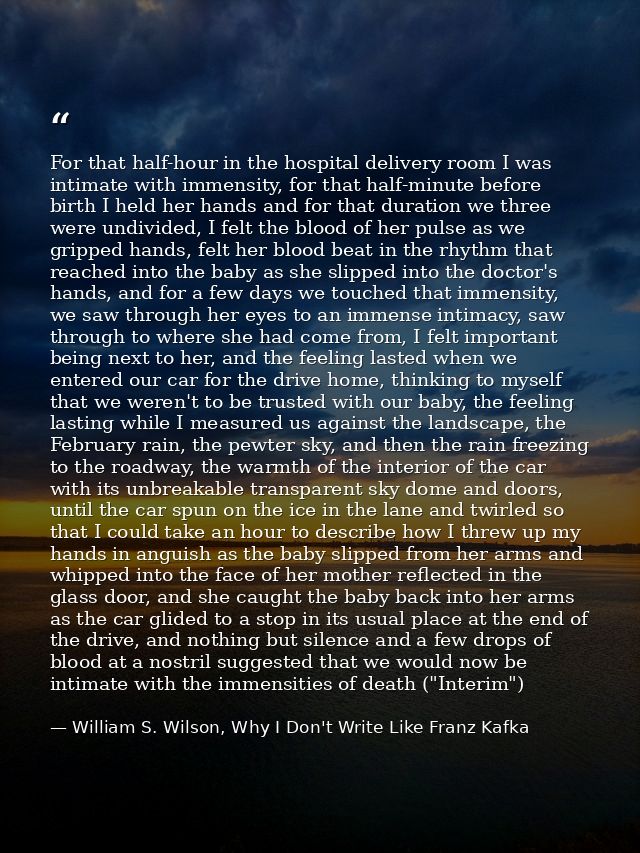 For that half-hour in the hospital delivery room I was intimate with immensity, for that half-minute before birth I held — William S. Wilson, Why I Don't Write Like Franz Kafka