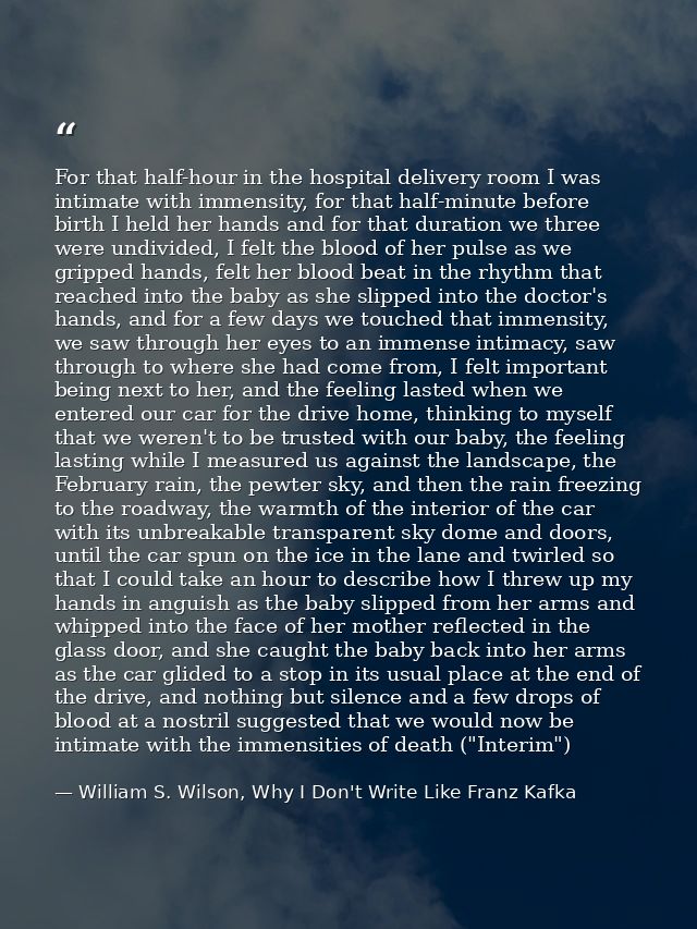 For that half-hour in the hospital delivery room I was intimate with immensity, for that half-minute before birth I held — William S. Wilson, Why I Don't Write Like Franz Kafka