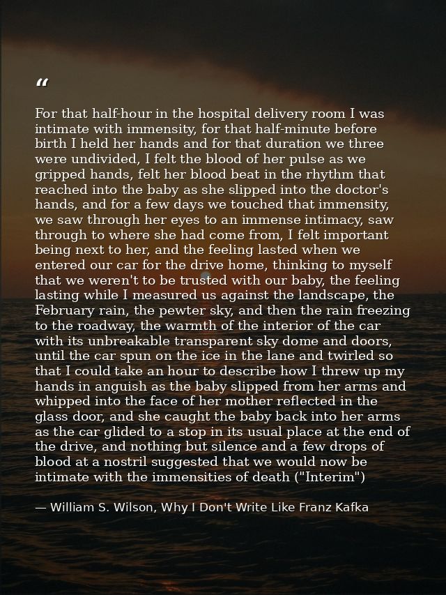 For that half-hour in the hospital delivery room I was intimate with immensity, for that half-minute before birth I held — William S. Wilson, Why I Don't Write Like Franz Kafka