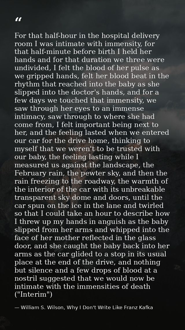 For that half-hour in the hospital delivery room I was intimate with immensity, for that half-minute before birth I held — William S. Wilson, Why I Don't Write Like Franz Kafka