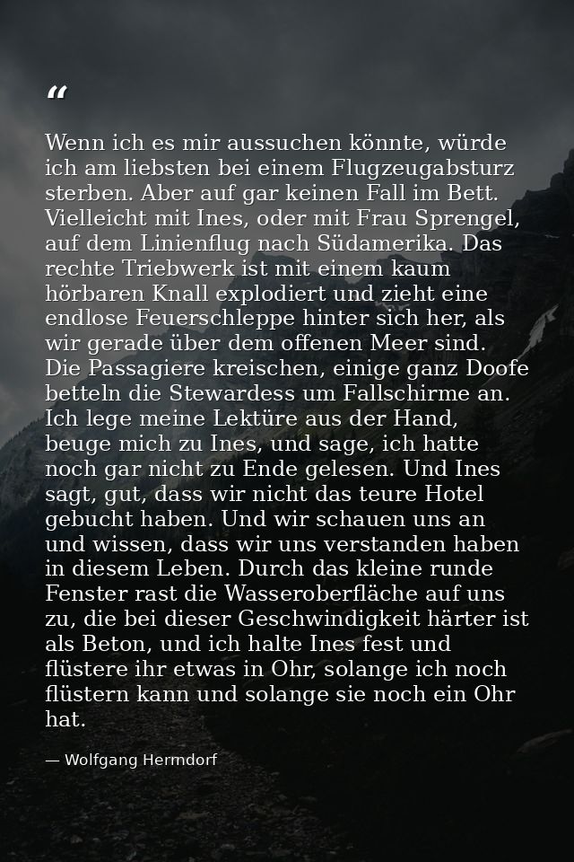Wenn ich es mir aussuchen könnte, würde ich am liebsten bei einem Flugzeugabsturz sterben. Aber auf gar keinen Fall im B — Wolfgang Herrndorf