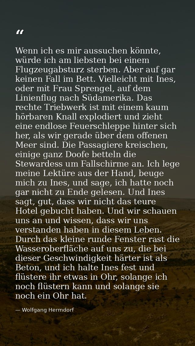 Wenn ich es mir aussuchen könnte, würde ich am liebsten bei einem Flugzeugabsturz sterben. Aber auf gar keinen Fall im B — Wolfgang Herrndorf