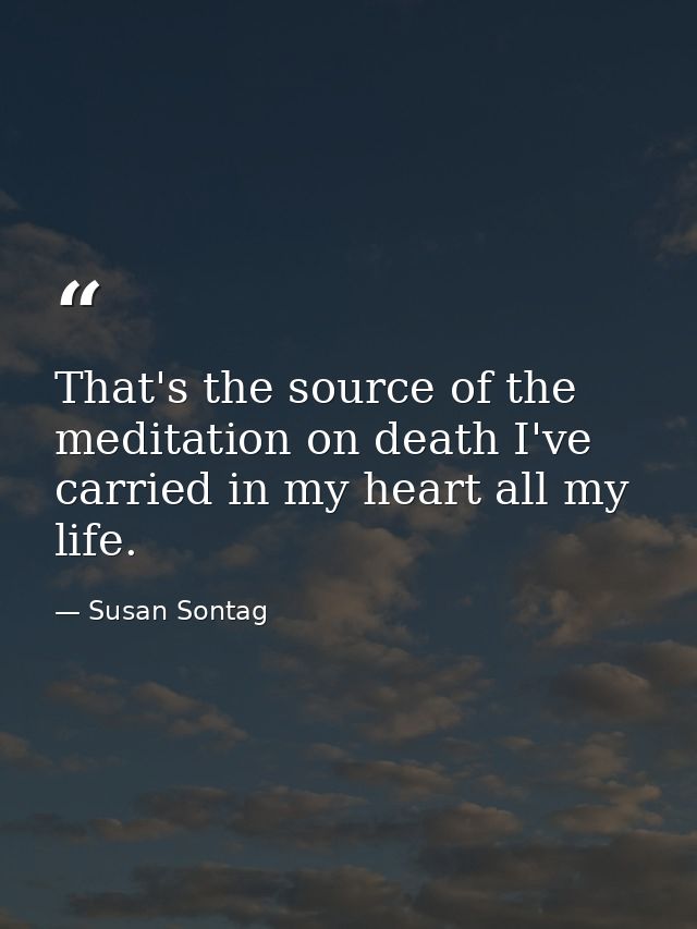 That's the source of the meditation on death I've carried in my heart all my life. — Susan Sontag
