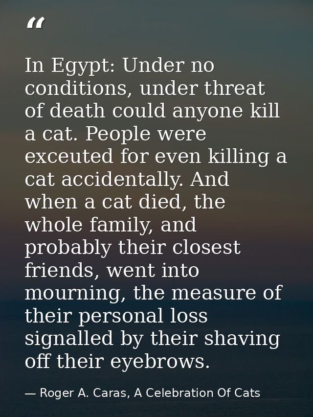 In Egypt: Under no conditions, under threat of death could anyone kill a cat. People were exceuted for even killing a ca — Roger A. Caras, A Celebration Of Cats