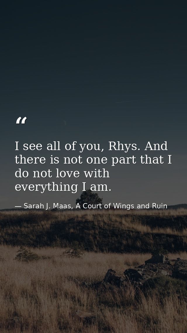 I see all of you, Rhys. And there is not one part that I do not love with everything I am. — Sarah J. Maas, A Court of Wings and Ruin