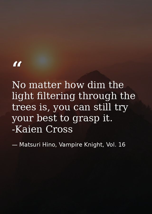 No matter how dim the light filtering through the trees is, you can still try your best to grasp it. -Kaien Cross — Matsuri Hino, Vampire Knight, Vol. 16