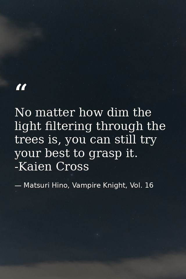No matter how dim the light filtering through the trees is, you can still try your best to grasp it. -Kaien Cross — Matsuri Hino, Vampire Knight, Vol. 16