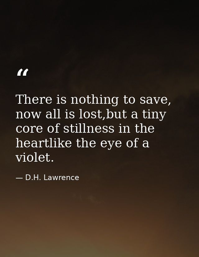 There is nothing to save, now all is lost,but a tiny core of stillness in the heartlike the eye of a violet. — D.H. Lawrence