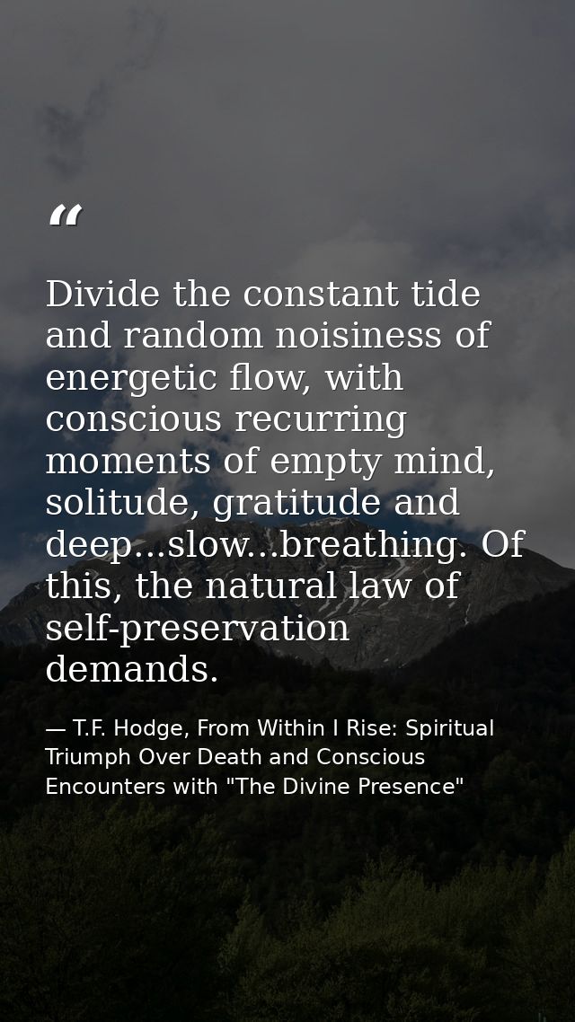 Divide the constant tide and random noisiness of energetic flow, with conscious recurring moments of empty mind, solitud — T.F. Hodge, From Within I Rise: Spiritual Triumph Over Death and Conscious Encounters with "The Divine Presence"