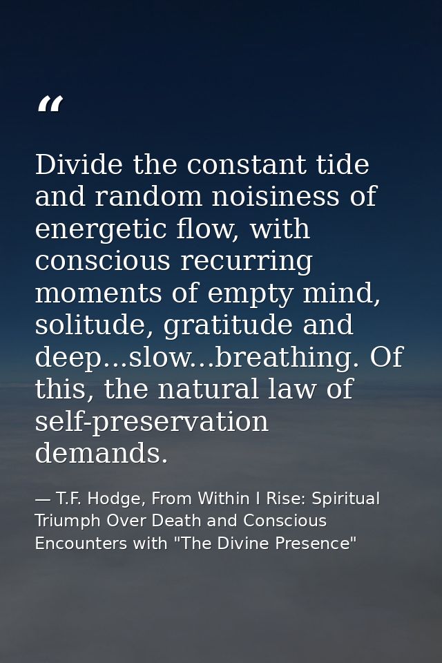 Divide the constant tide and random noisiness of energetic flow, with conscious recurring moments of empty mind, solitud — T.F. Hodge, From Within I Rise: Spiritual Triumph Over Death and Conscious Encounters with "The Divine Presence"