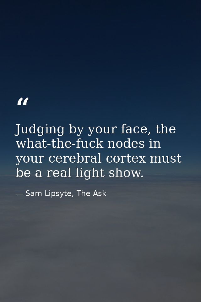 Judging by your face, the what-the-fuck nodes in your cerebral cortex must be a real light show. — Sam Lipsyte, The Ask