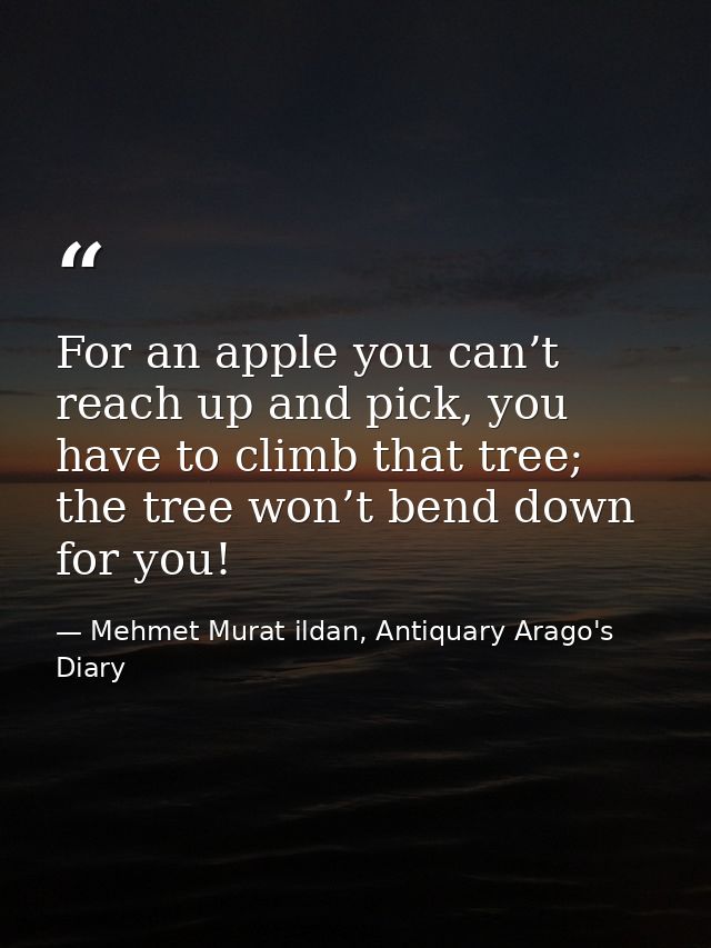 For an apple you can’t reach up and pick, you have to climb that tree; the tree won’t bend down for you! — Mehmet Murat ildan, Antiquary Arago's Diary
