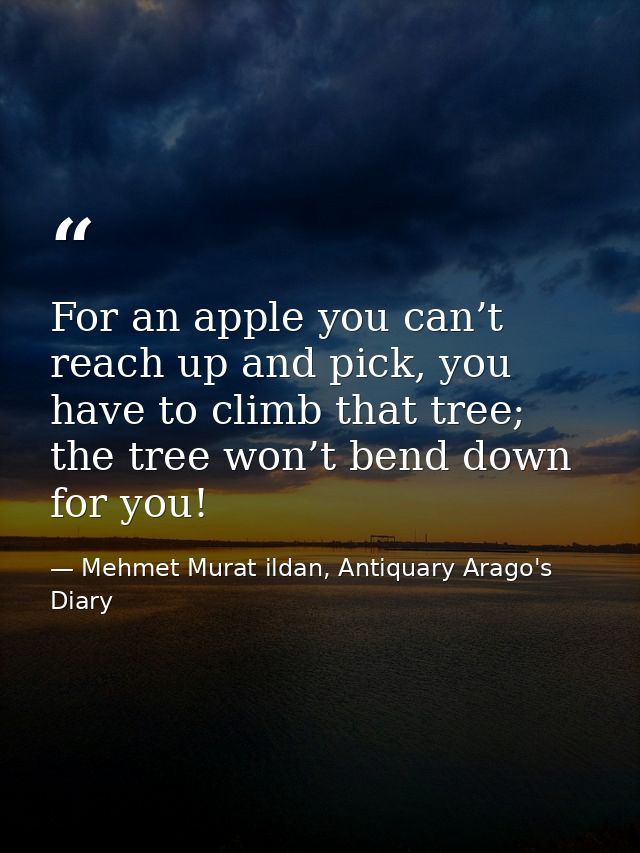 For an apple you can’t reach up and pick, you have to climb that tree; the tree won’t bend down for you! — Mehmet Murat ildan, Antiquary Arago's Diary