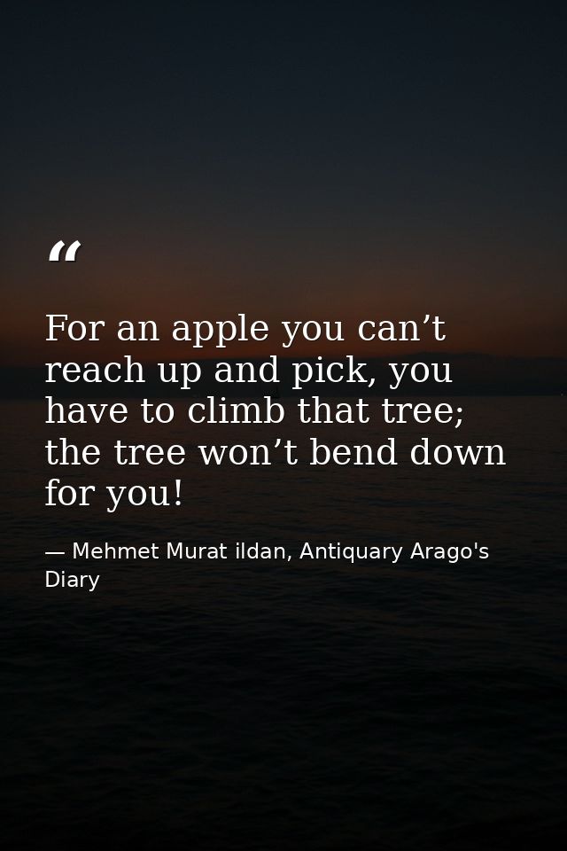 For an apple you can’t reach up and pick, you have to climb that tree; the tree won’t bend down for you! — Mehmet Murat ildan, Antiquary Arago's Diary