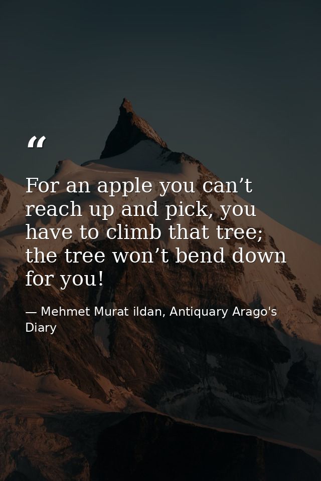 For an apple you can’t reach up and pick, you have to climb that tree; the tree won’t bend down for you! — Mehmet Murat ildan, Antiquary Arago's Diary