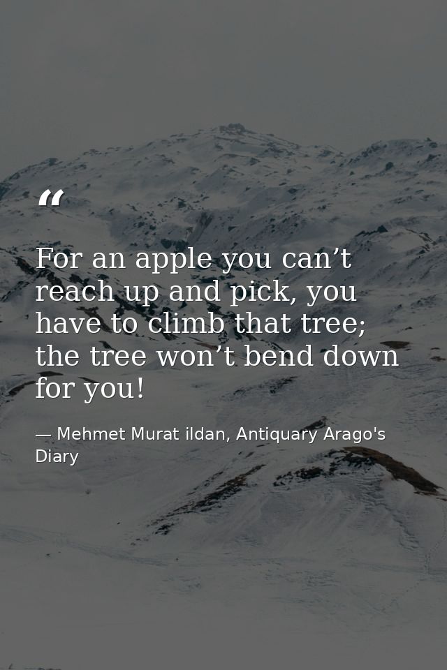 For an apple you can’t reach up and pick, you have to climb that tree; the tree won’t bend down for you! — Mehmet Murat ildan, Antiquary Arago's Diary