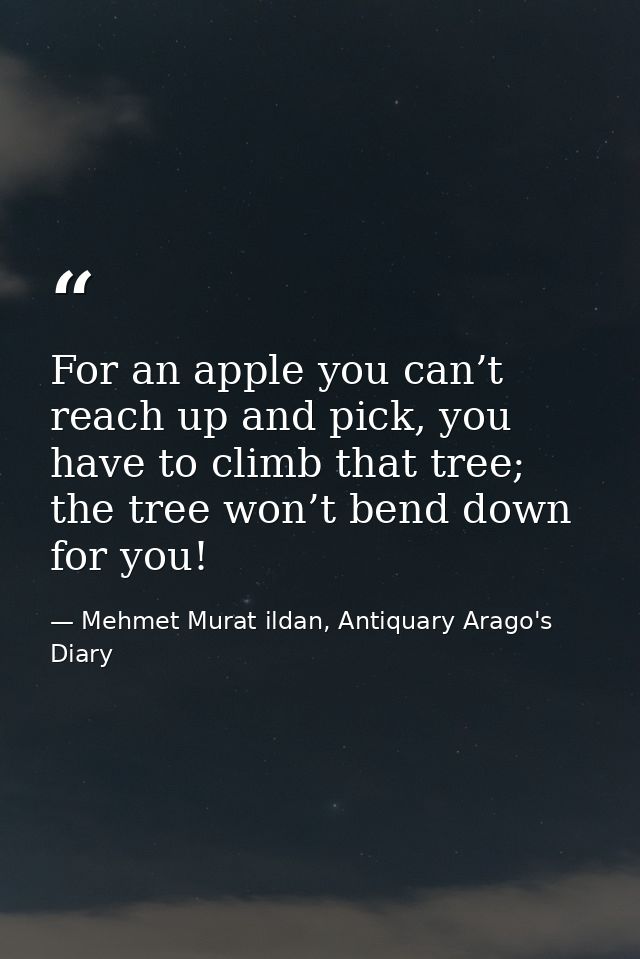 For an apple you can’t reach up and pick, you have to climb that tree; the tree won’t bend down for you! — Mehmet Murat ildan, Antiquary Arago's Diary