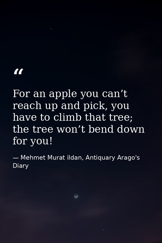 For an apple you can’t reach up and pick, you have to climb that tree; the tree won’t bend down for you! — Mehmet Murat ildan, Antiquary Arago's Diary