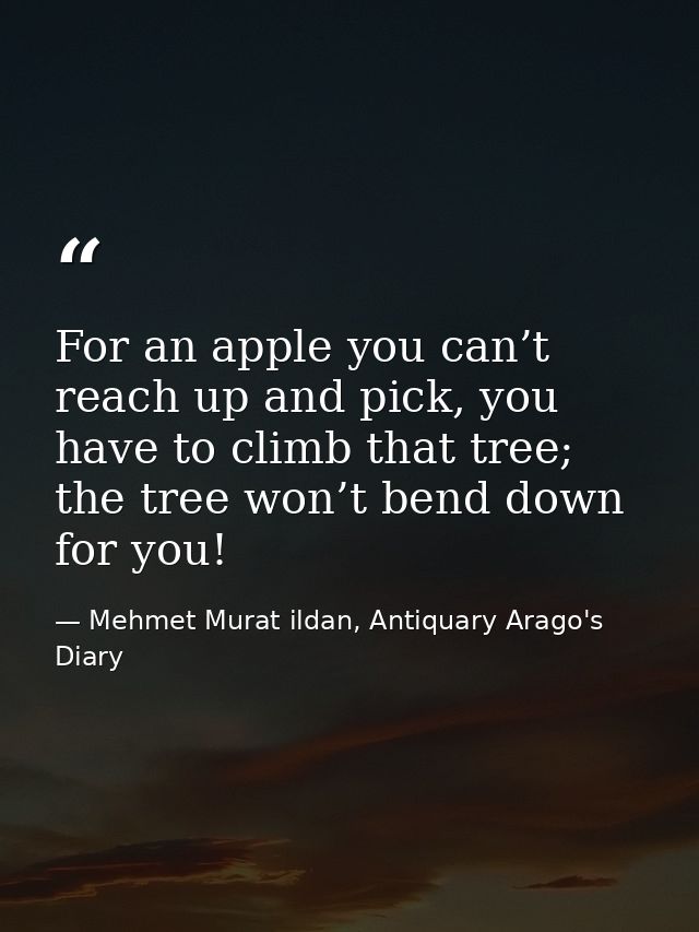 For an apple you can’t reach up and pick, you have to climb that tree; the tree won’t bend down for you! — Mehmet Murat ildan, Antiquary Arago's Diary