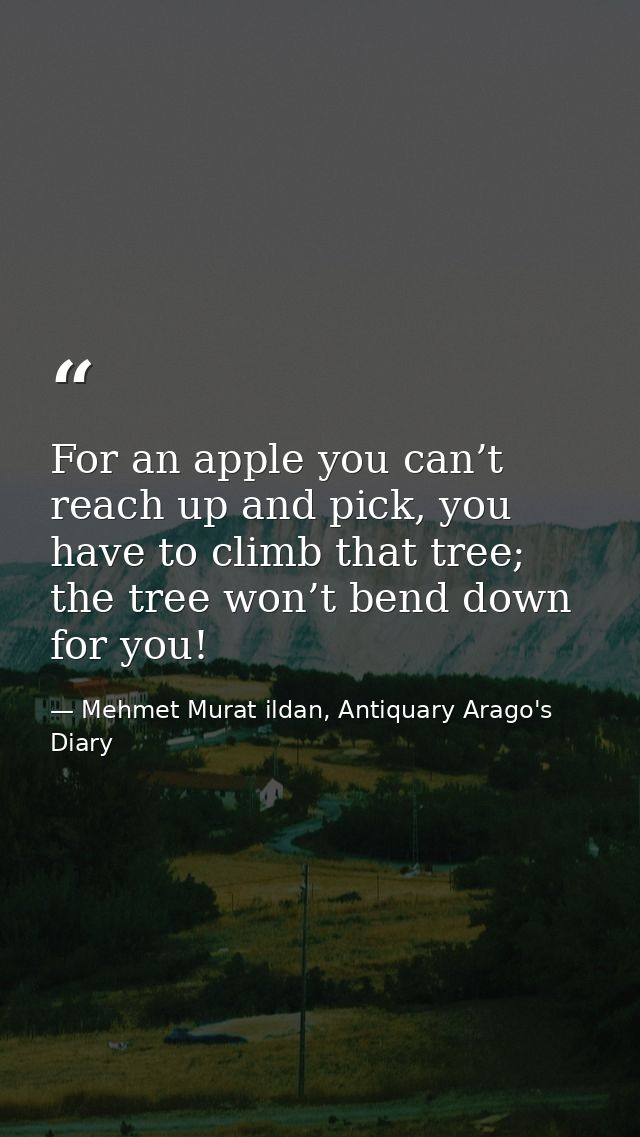 For an apple you can’t reach up and pick, you have to climb that tree; the tree won’t bend down for you! — Mehmet Murat ildan, Antiquary Arago's Diary