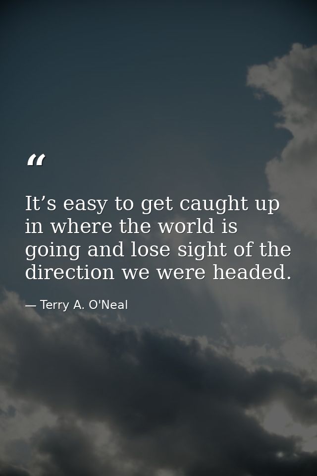 It’s easy to get caught up in where the world is going and lose sight of the direction we were headed. — Terry A. O'Neal