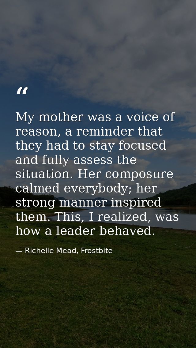 My mother was a voice of reason, a reminder that they had to stay focused and fully assess the situation. Her composure  — Richelle Mead, Frostbite