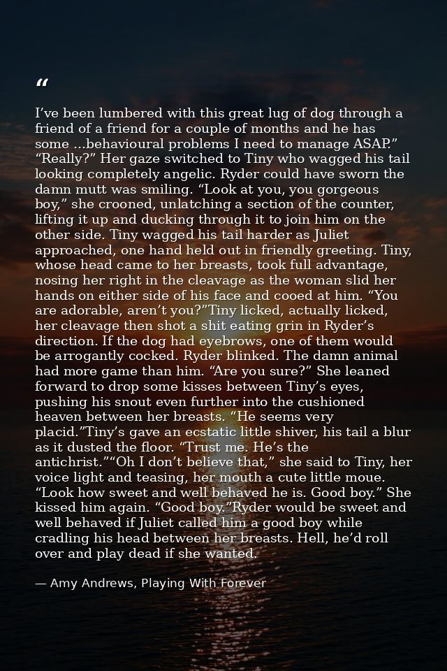 I’ve been lumbered with this great lug of dog through a friend of a friend for a couple of months and he has some ...beh — Amy Andrews, Playing With Forever