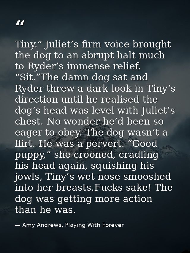 Tiny.” Juliet’s firm voice brought the dog to an abrupt halt much to Ryder’s immense relief. “Sit.”The damn dog sat and  — Amy Andrews, Playing With Forever