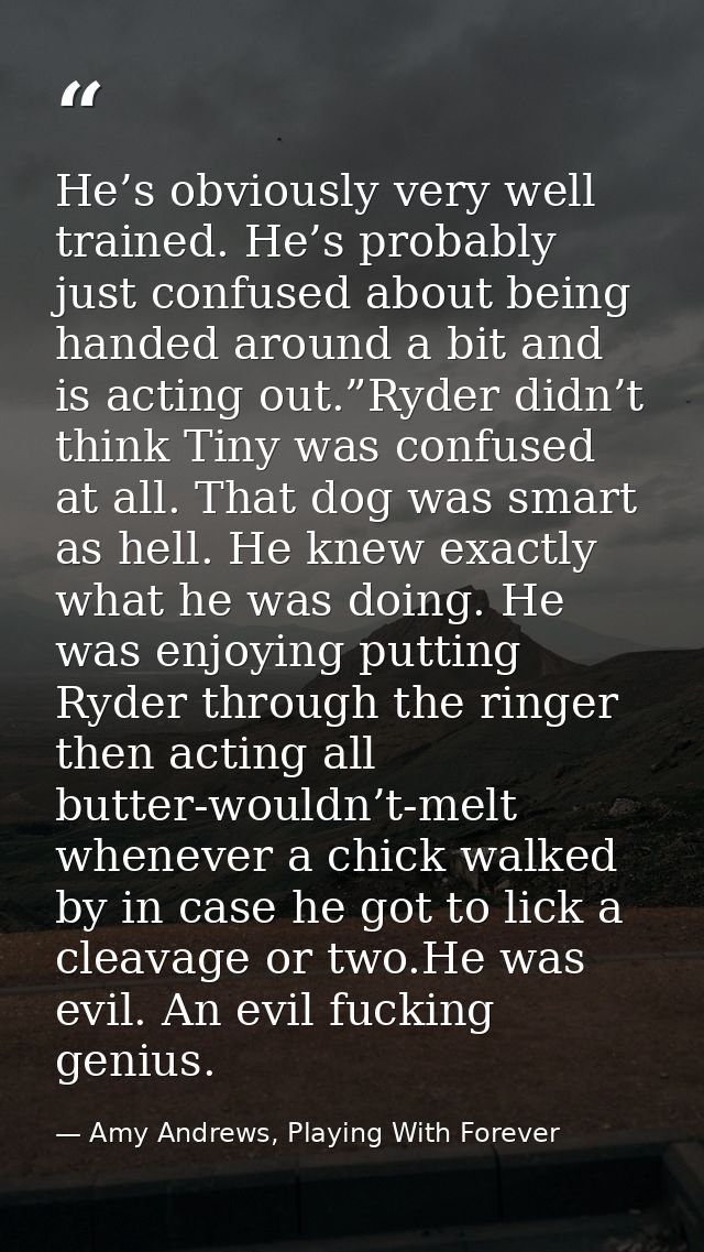 He’s obviously very well trained. He’s probably just confused about being handed around a bit and is acting out.”Ryder d — Amy Andrews, Playing With Forever
