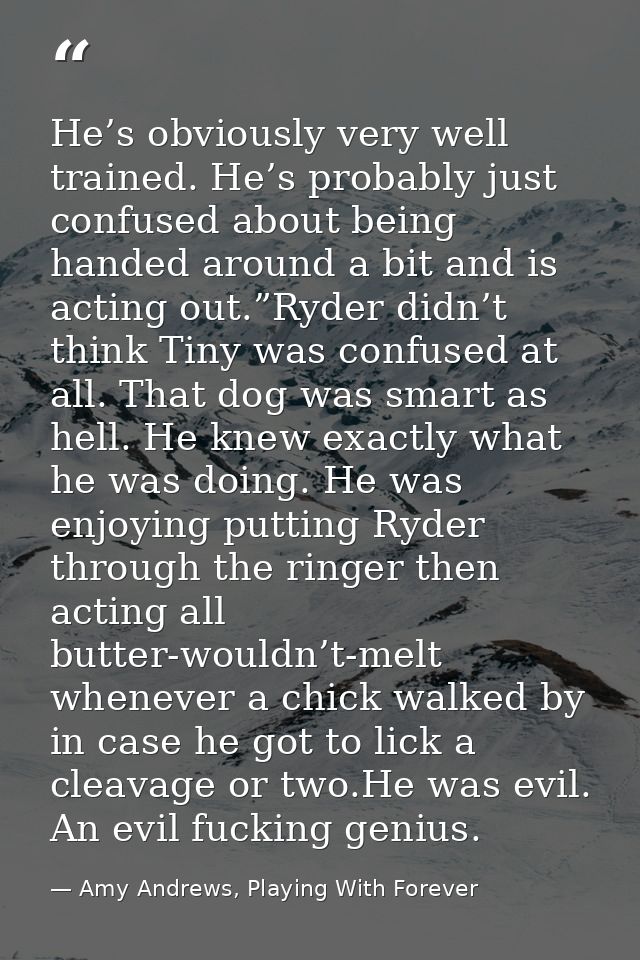 He’s obviously very well trained. He’s probably just confused about being handed around a bit and is acting out.”Ryder d — Amy Andrews, Playing With Forever