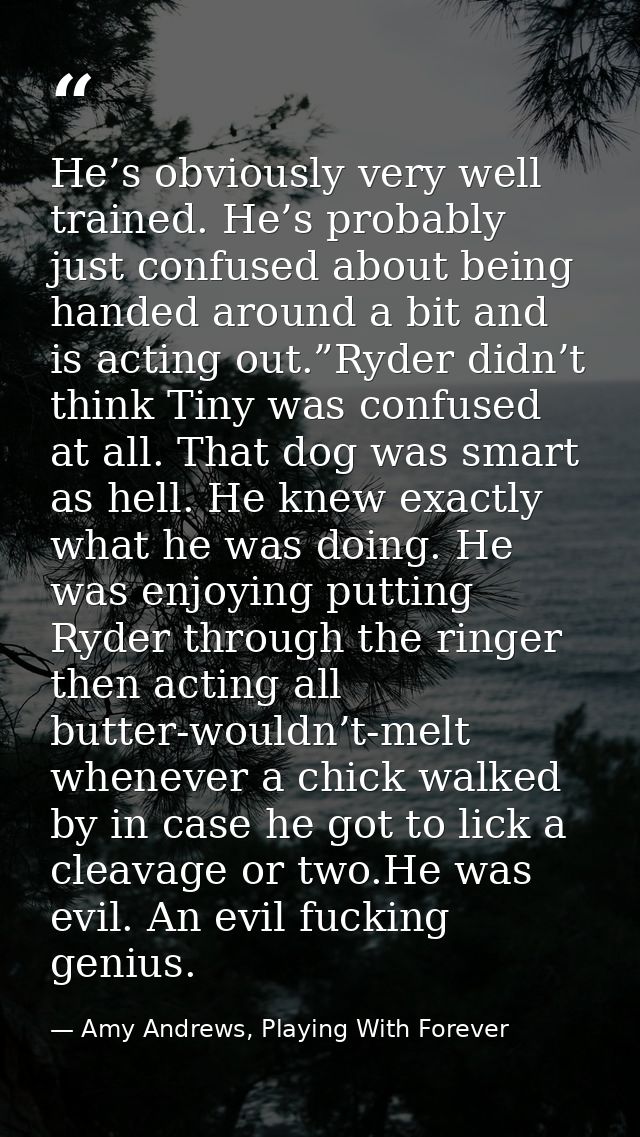 He’s obviously very well trained. He’s probably just confused about being handed around a bit and is acting out.”Ryder d — Amy Andrews, Playing With Forever