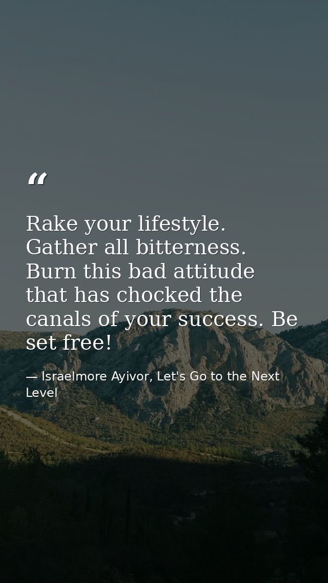 Rake your lifestyle. Gather all bitterness. Burn this bad attitude that has chocked the canals of your success. Be set f — Israelmore Ayivor, Let's Go to the Next Level