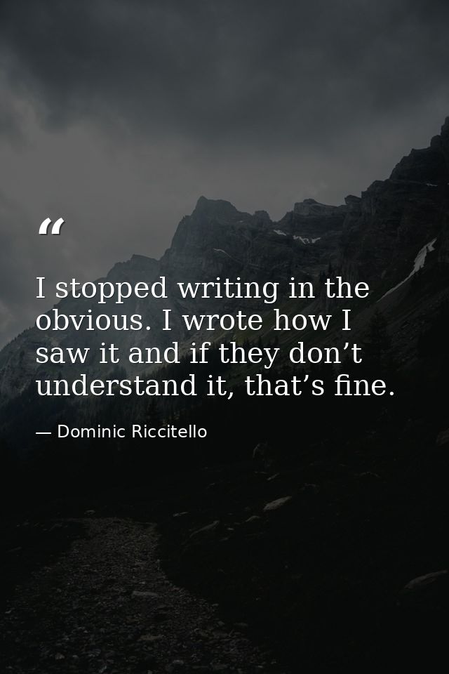 I stopped writing in the obvious. I wrote how I saw it and if they don’t understand it, that’s fine. — Dominic Riccitello