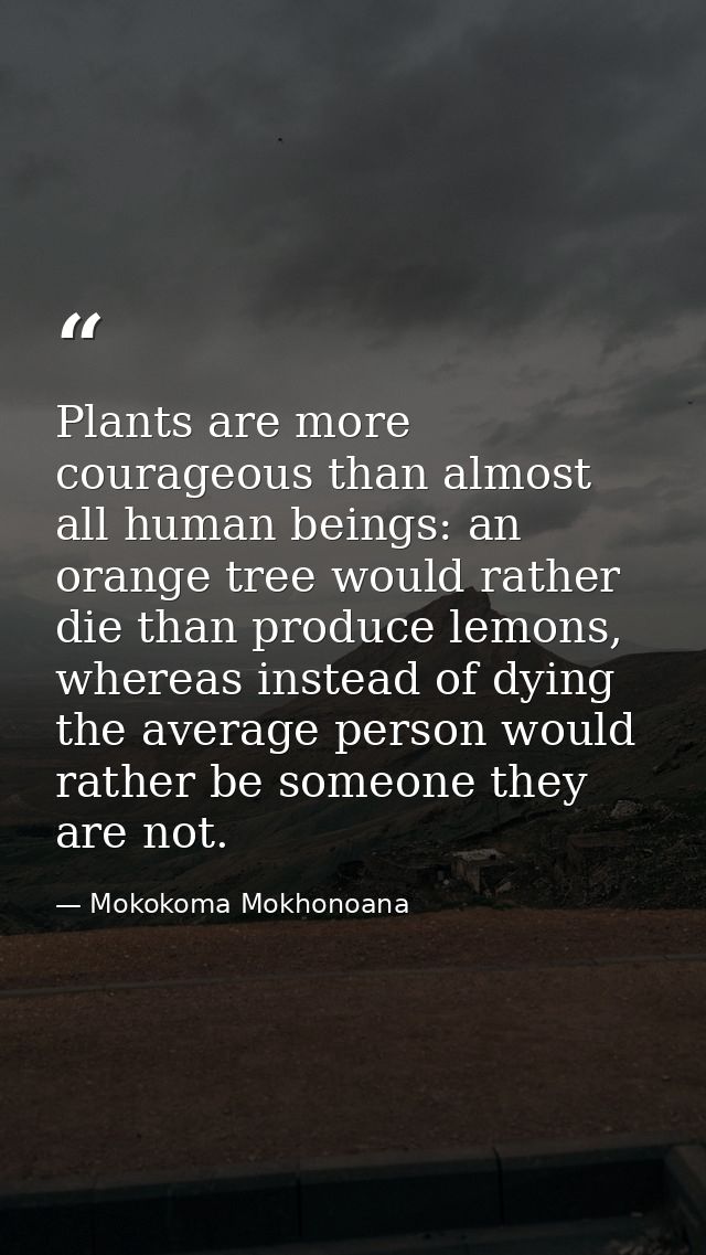 Plants are more courageous than almost all human beings: an orange tree would rather die than produce lemons, whereas in — Mokokoma Mokhonoana
