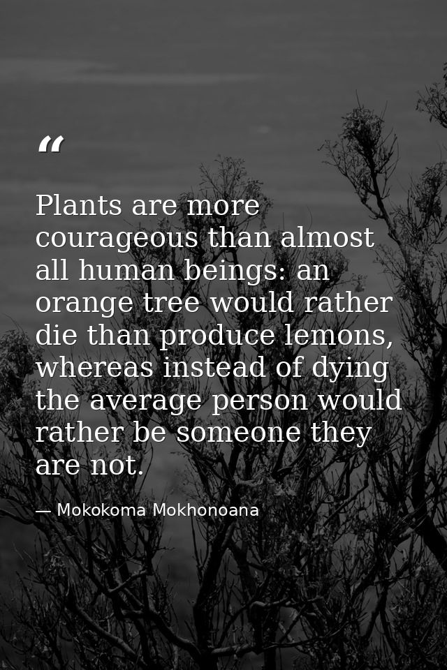 Plants are more courageous than almost all human beings: an orange tree would rather die than produce lemons, whereas in — Mokokoma Mokhonoana