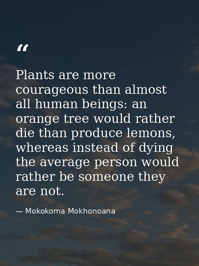 Plants are more courageous than almost all human beings: an orange tree would rather die than produce lemons, whereas in — Mokokoma Mokhonoana