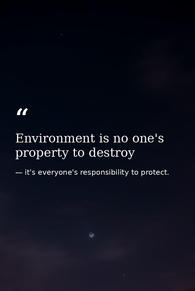 Environment is no one's property to destroy — it's everyone's responsibility to protect.