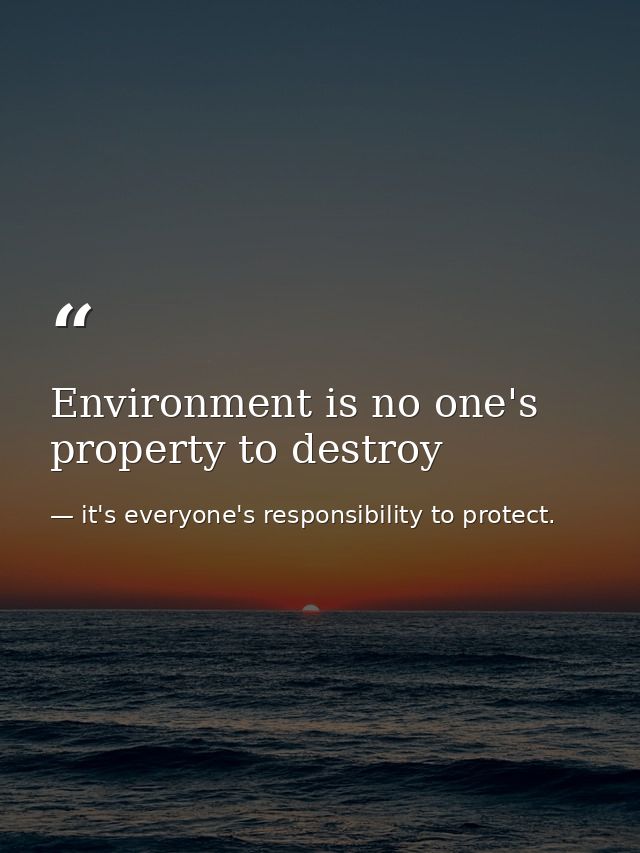 Environment is no one's property to destroy — it's everyone's responsibility to protect.