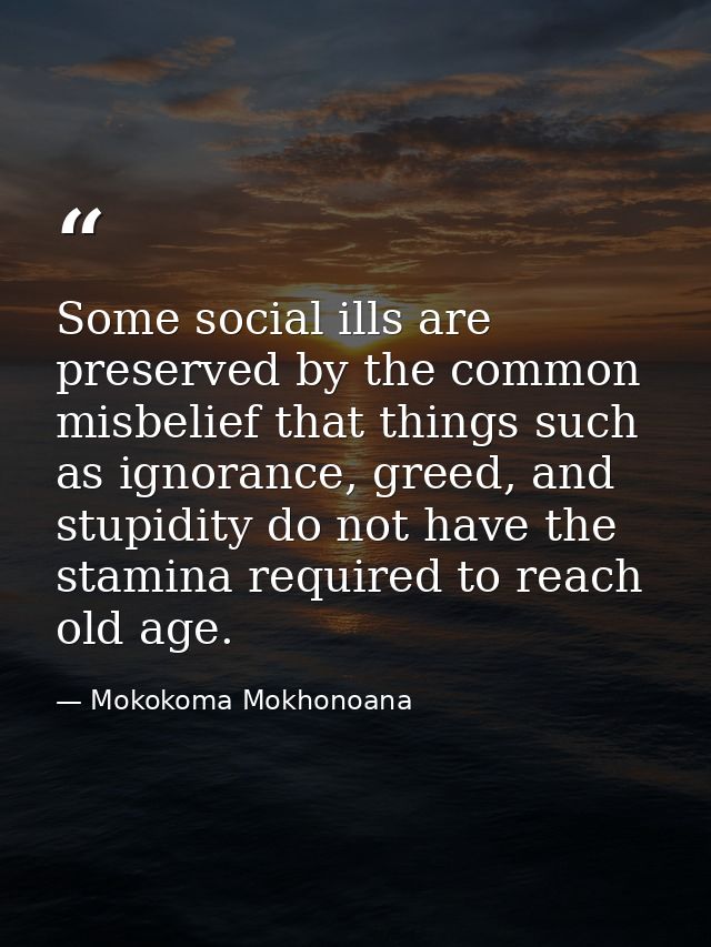Some social ills are preserved by the common misbelief that things such as ignorance, greed, and stupidity do not have t — Mokokoma Mokhonoana