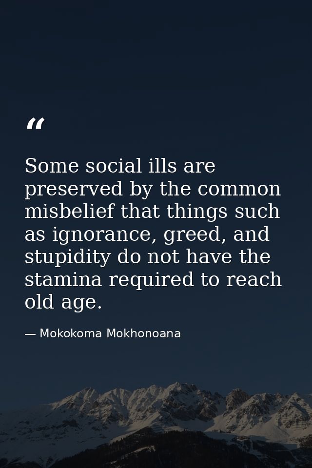 Some social ills are preserved by the common misbelief that things such as ignorance, greed, and stupidity do not have t — Mokokoma Mokhonoana