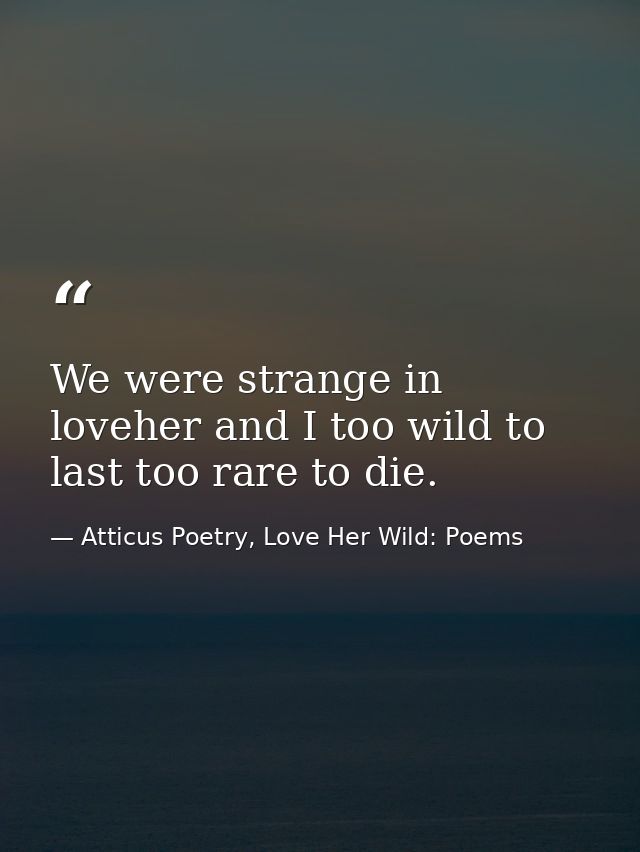 We were strange in loveher and I too wild to last too rare to die. — Atticus Poetry, Love Her Wild: Poems