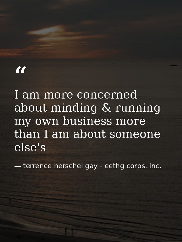 I am more concerned about minding & running my own business more than I am about someone else's — terrence herschel gay - eethg corps. inc.