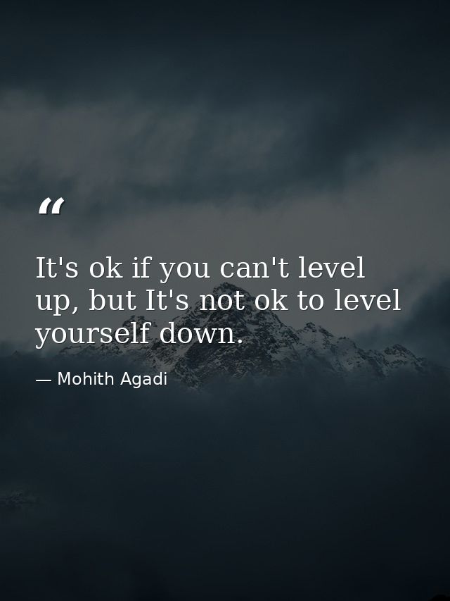 It's ok if you can't level up, but It's not ok to level yourself down. — Mohith Agadi